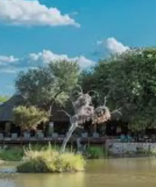Gomo Gomo Game Lodge