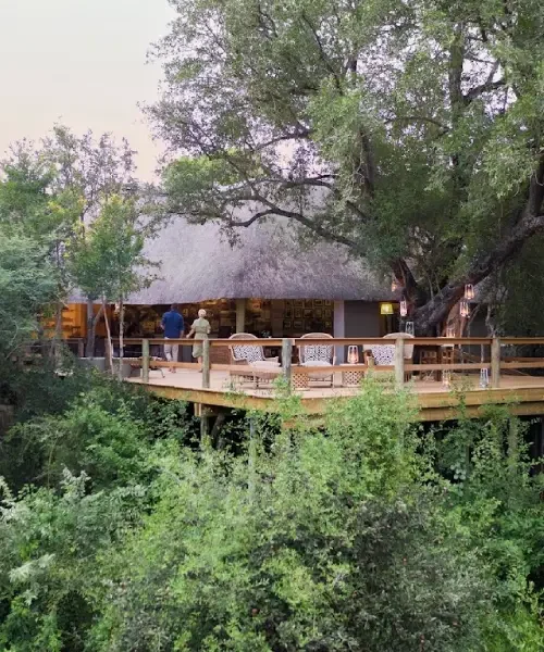 Londolozi Game Reserve
