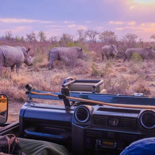 African Safari FAQs