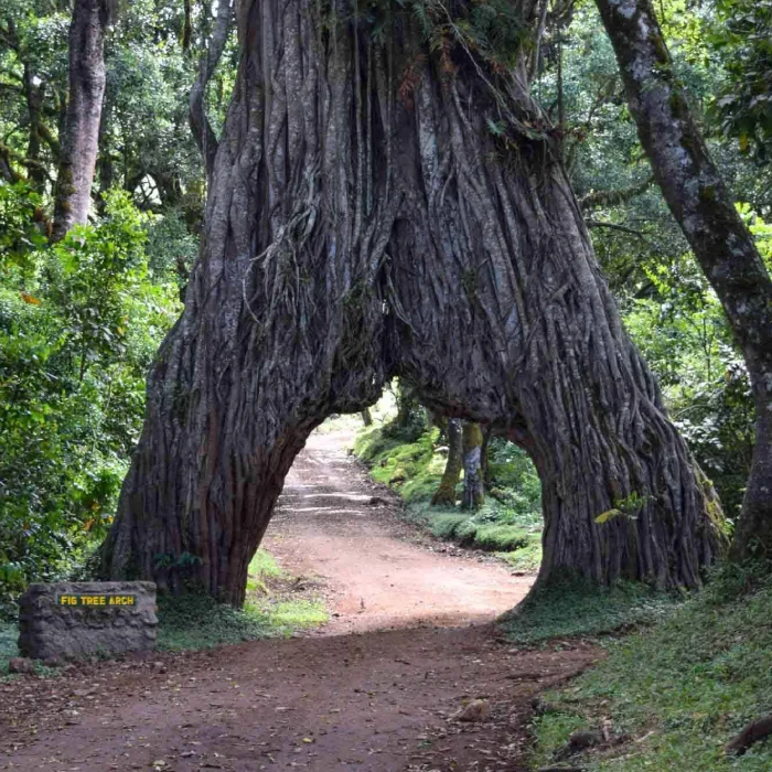 Best Time to Visit