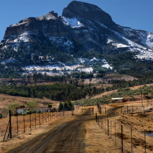 Free State