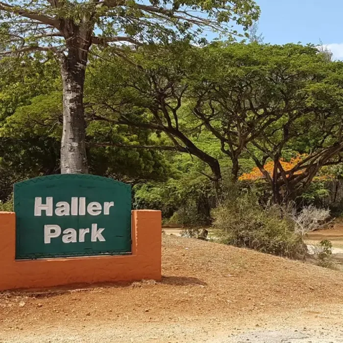 Best Time to Visit