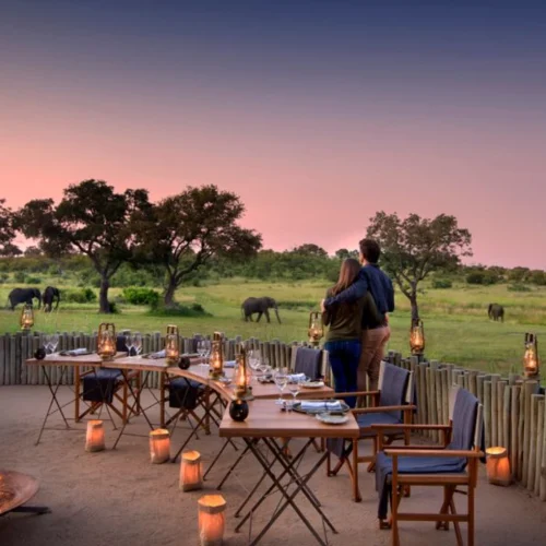 Honeymoon Safari