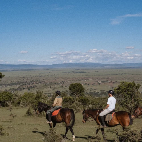 Horse Riding
