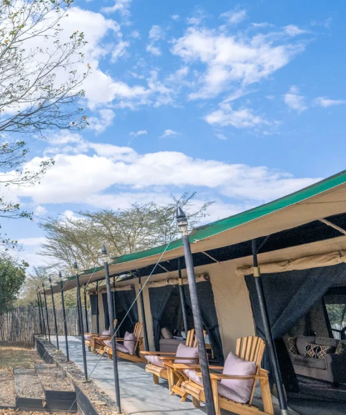 Ol Pejeta Bushcamp