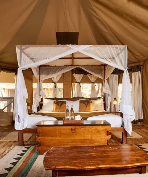 Elephant Bedroom Camp