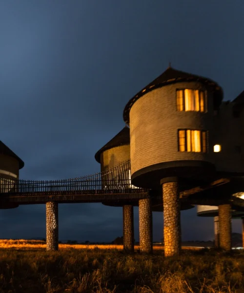 Salt Lick Safari Lodge