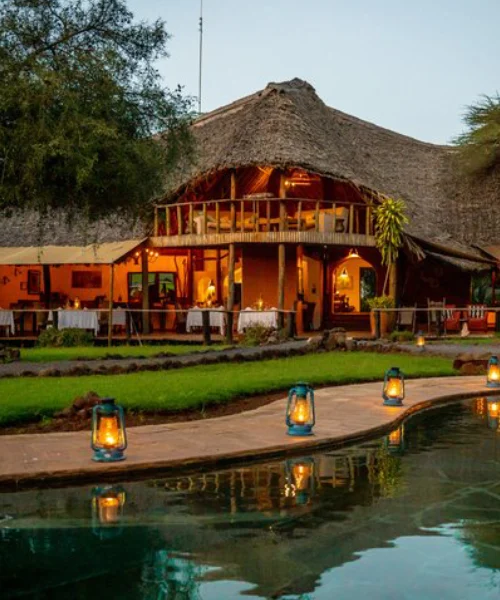 Tawi lodge