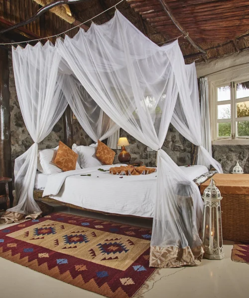 Mbweha Camp