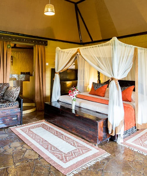 Rhino Watch Safari Lodge