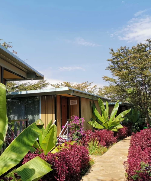 Jambo Mara Safari Lodge
