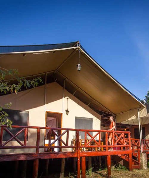 Mara Leisure Camp
