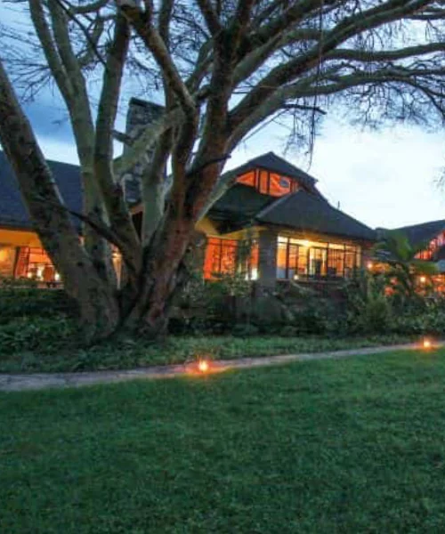 Matira Bush Camp