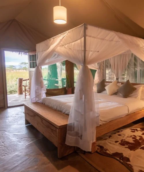 Kibo Safari Camp