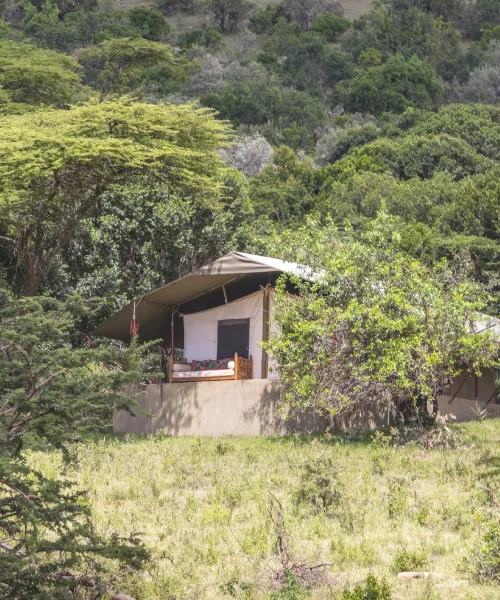 Entumoto Safari Camp
