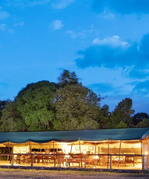 Off Beat Mara Camp