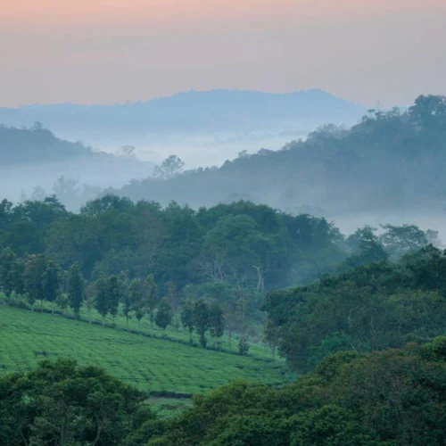 Kibale Forest National Park