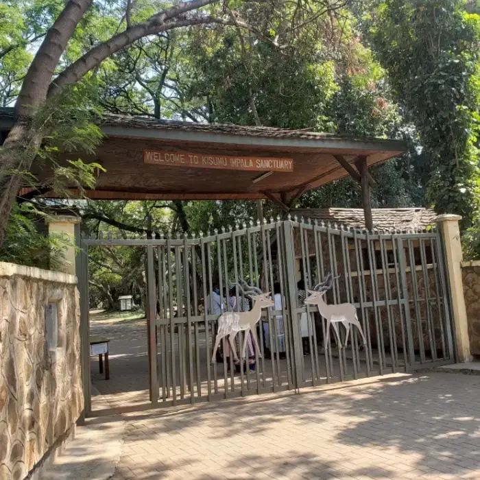 Best Time to Visit