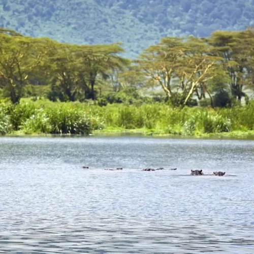 Lake Naivasha