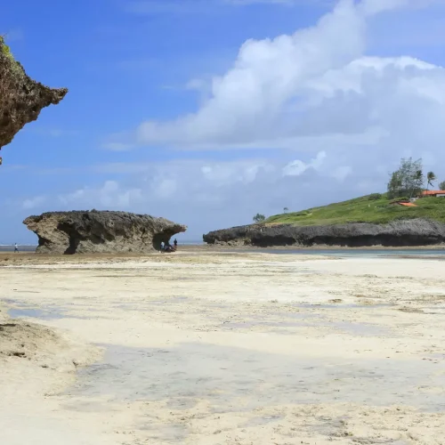 Malindi Marine National Reserve