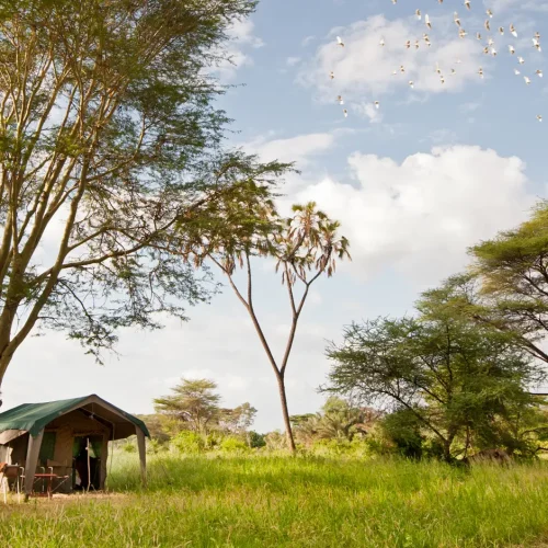 Meru National Park
