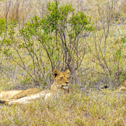 Mpumalanga