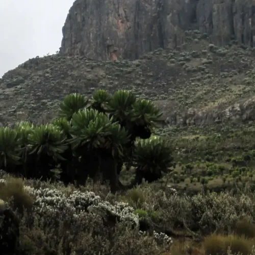 Mt.Elgon National Park