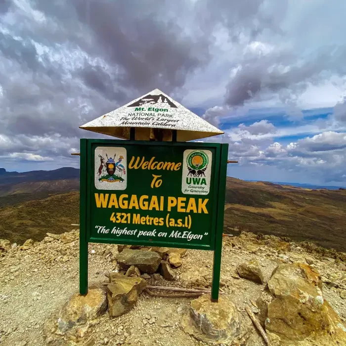 Best Time to Visit