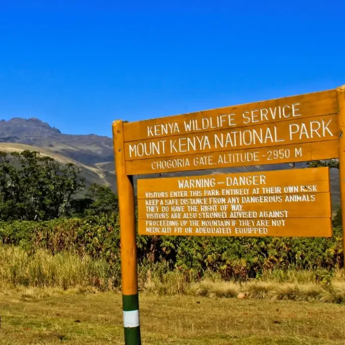 Best Time to Visit
