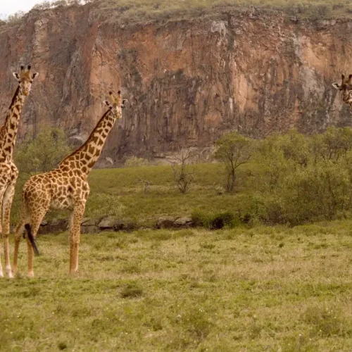 Mt.Longonot National Park
