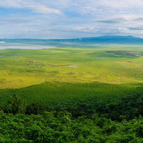 Ngorongoro Crater