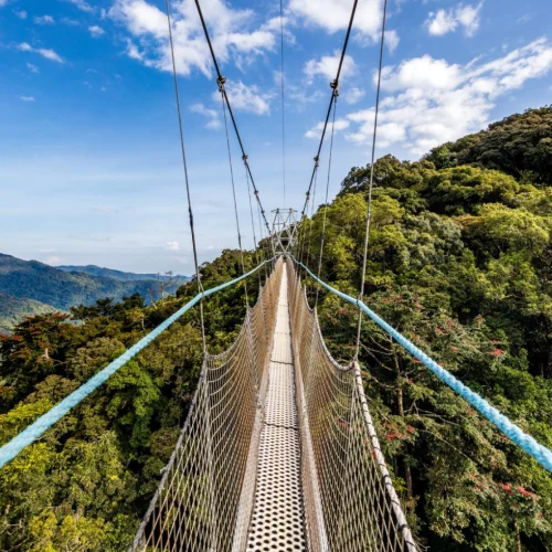 Nyungwe Forest National Park