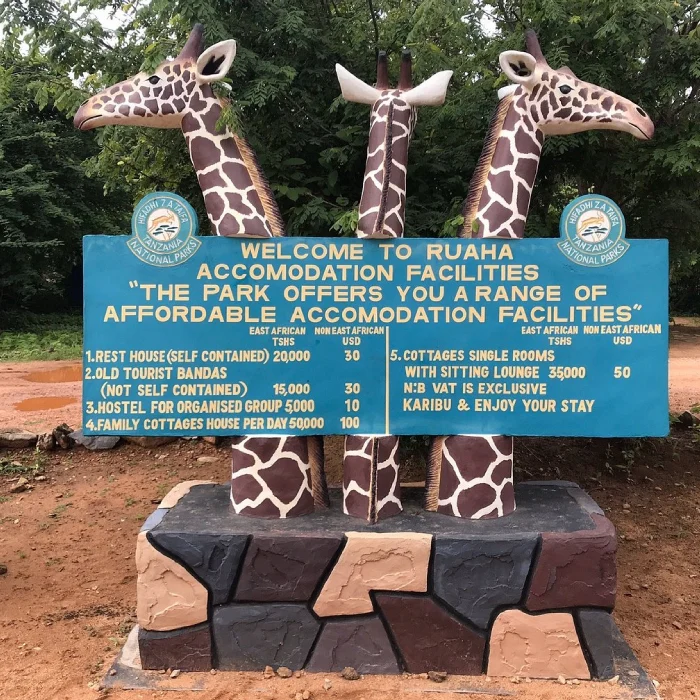 Best Time to Visit