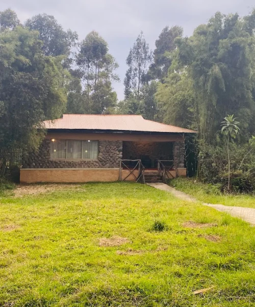 Mountain Gorilla Villa View Lodge