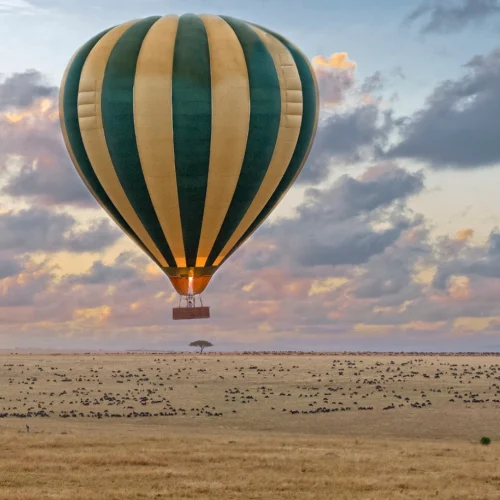 Serengeti National Park