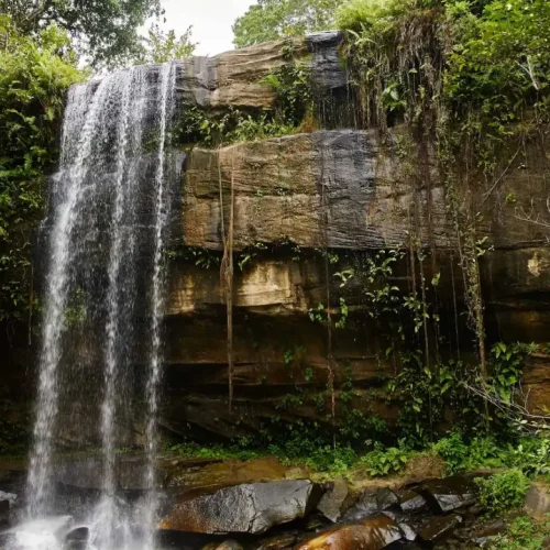 Shimba Hills National Park