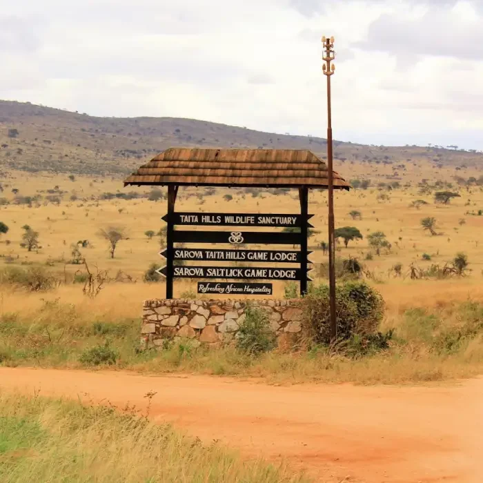 Best Time to Visit