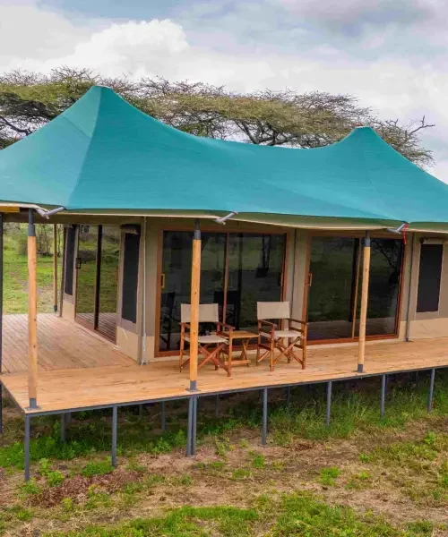 Acacia Migration Camp- Kogatende