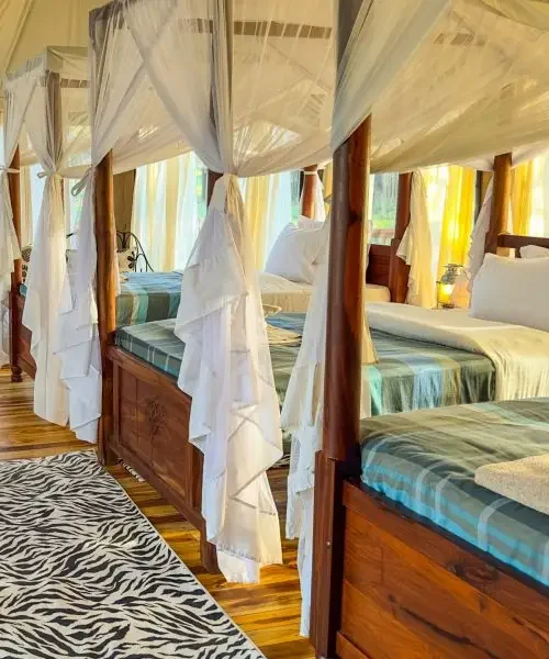Acacia Central Camp