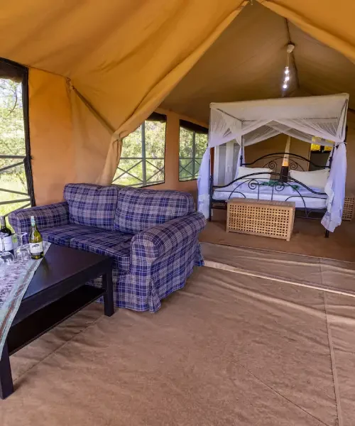 Serengeti Ikoma Wild Camp