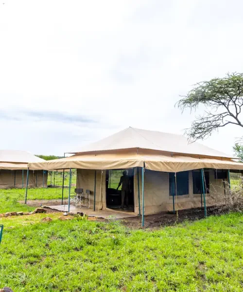 Serengeti Wild Camp