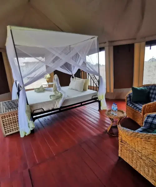 Serengeti Wildebeest Camp