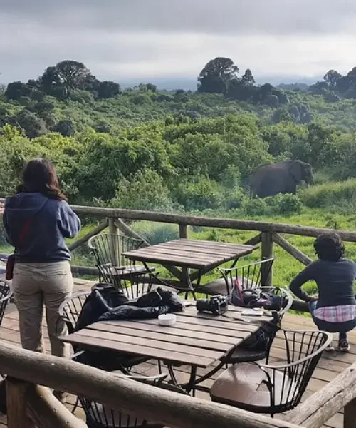Ngorongoro Rhino Lodge