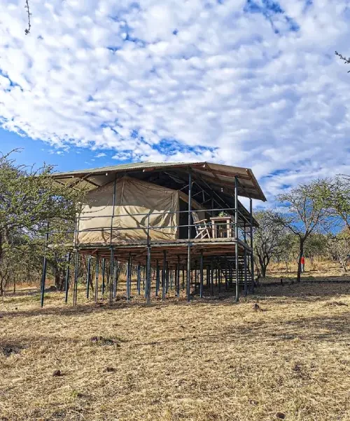 Ngorongoro Wild Camp