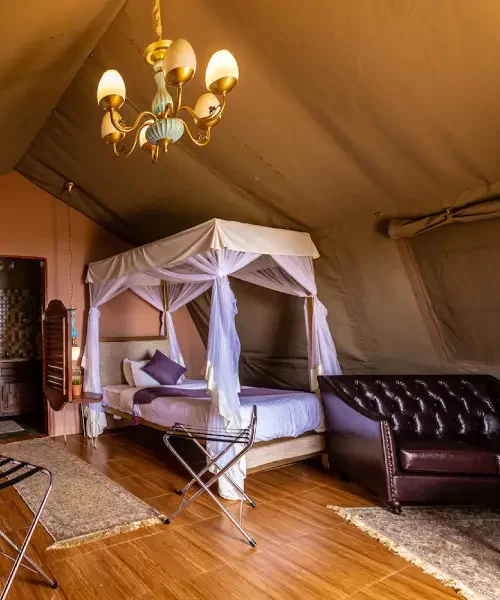 Ngorongoro Safari Lodge