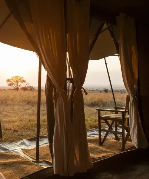 Ndutu Under Canvas