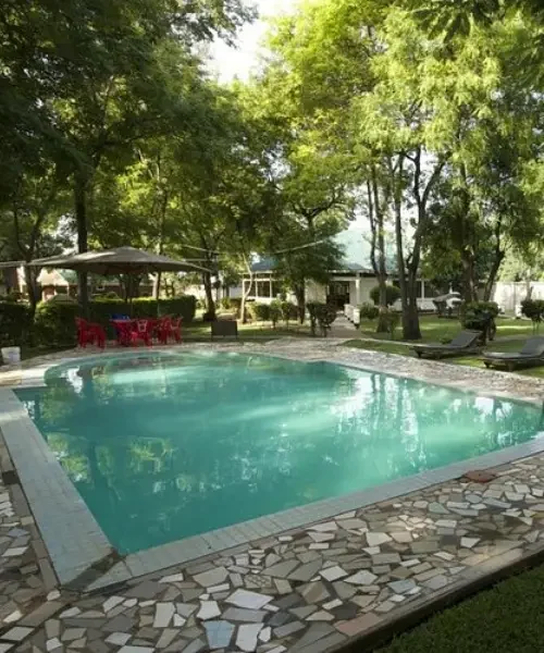 Twiga Camp
