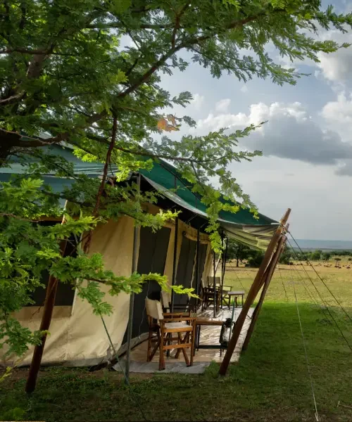 Mara Under Canvas