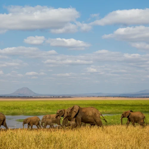 Tarangire National Park