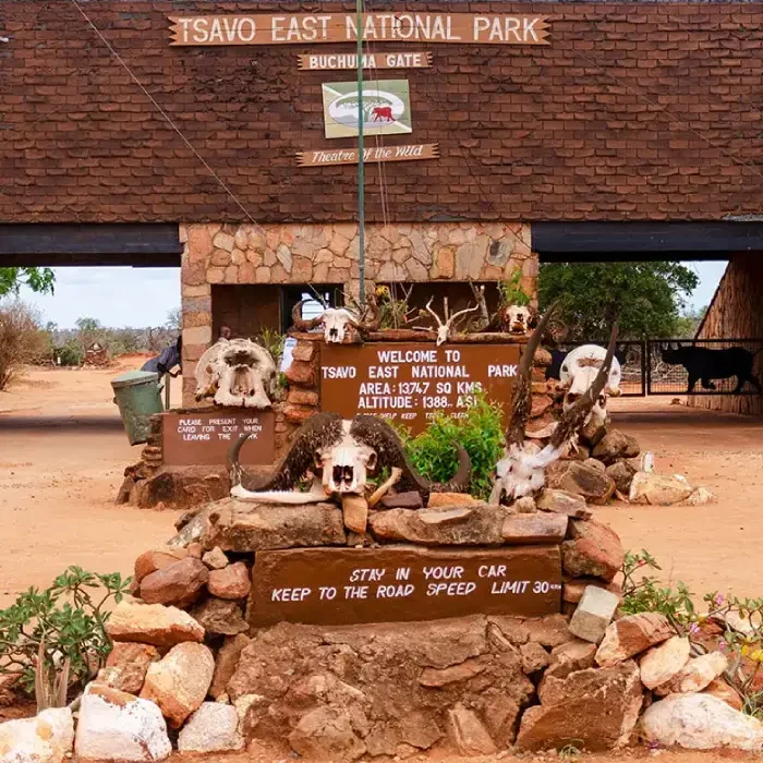 Best Time to Visit